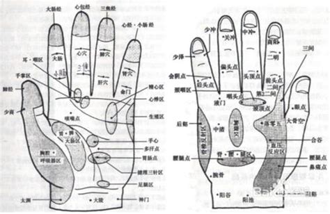 手指代表器官|五个手指对应哪些脏腑？！你知道吗